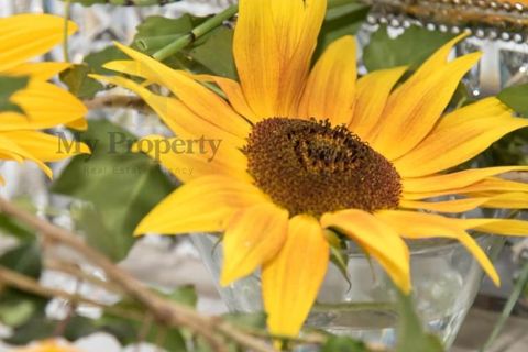 Farm i Paredes, Porto, Paredes - € 1.850.000 | Ref: Q521 - foto 23