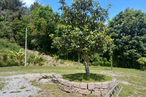 Farm i Paredes, Porto, Paredes - € 1.850.000 | Ref: Q521 - foto 24