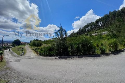 Farm i Paredes, Porto, Paredes - € 1.850.000 | Ref: Q521 - foto 25