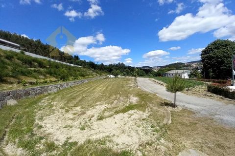 Farm i Paredes, Porto, Paredes - € 1.850.000 | Ref: Q521 - foto 26