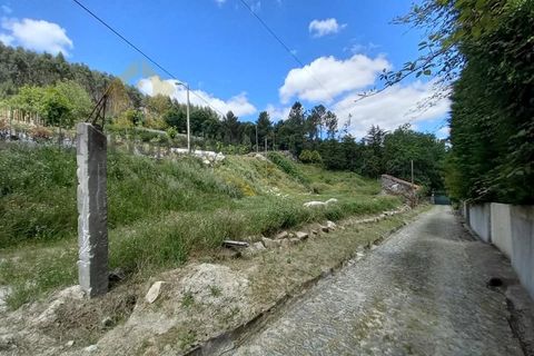 Farm i Paredes, Porto, Paredes - € 1.850.000 | Ref: Q521 - foto 27