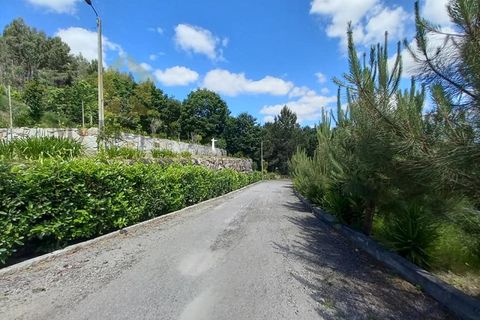 Farm i Paredes, Porto, Paredes - € 1.850.000 | Ref: Q521 - foto 28