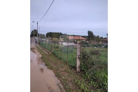 Helårsgrund i Abrantes, Santarem, Abrantes - € 89.000 | Ref: ID 01001101-79 - foto 3