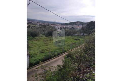 Helårsgrund i Abrantes, Santarem, Abrantes - € 89.000 | Ref: ID 01001101-79 - foto 6