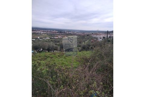 Helårsgrund i Abrantes, Santarem, Abrantes - € 89.000 | Ref: ID 01001101-79 - foto 7
