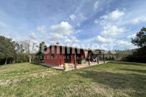 Landejendom i Capalbio, Grosseto, Capalbio - € 1.300.000 | Ref: V-0026 - foto 2