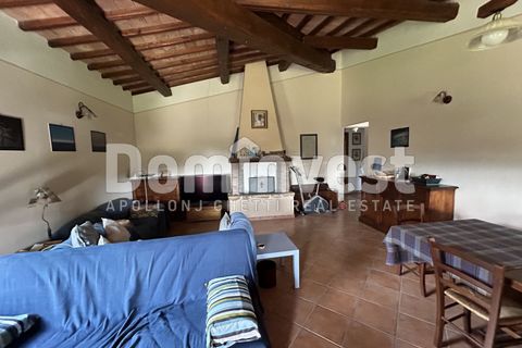 Landejendom i Capalbio, Grosseto, Capalbio - € 1.300.000 | Ref: V-0026 - foto 7