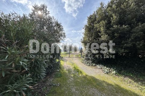 Landejendom i Capalbio, Grosseto, Capalbio - € 1.300.000 | Ref: V-0026 - foto 20