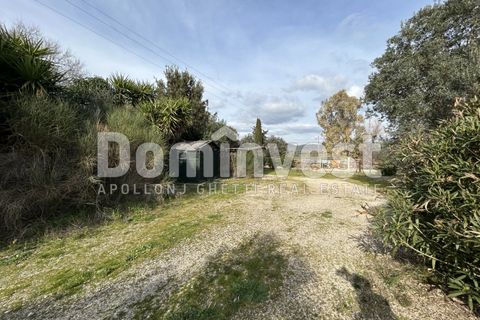 Landejendom i Capalbio, Grosseto, Capalbio - € 1.300.000 | Ref: V-0026 - foto 21