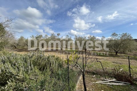 Landejendom i Capalbio, Grosseto, Capalbio - € 1.300.000 | Ref: V-0026 - foto 22