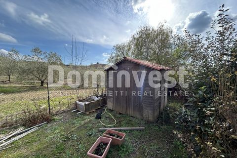Landejendom i Capalbio, Grosseto, Capalbio - € 1.300.000 | Ref: V-0026 - foto 23