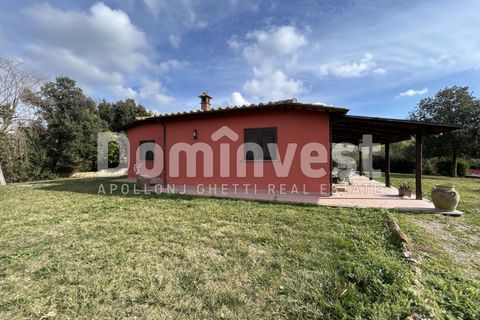 Landejendom i Capalbio, Grosseto, Capalbio - € 1.300.000 | Ref: V-0026 - foto 3
