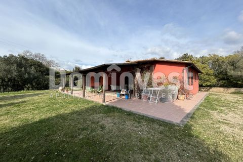 Landejendom i Capalbio, Grosseto, Capalbio - € 1.300.000 | Ref: V-0026 - foto 4