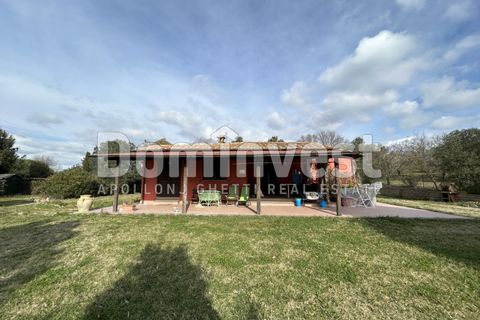 Landejendom i Capalbio, Grosseto, Capalbio - € 1.300.000 | Ref: V-0026 - foto 5