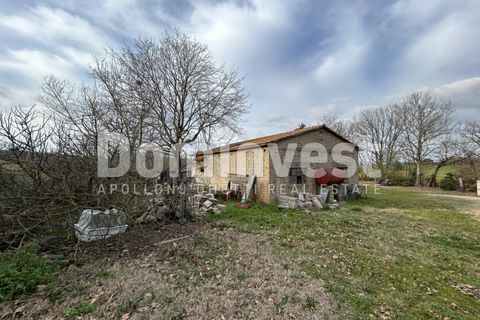 Landejendom i Capalbio, Grosseto, Capalbio - € 250.000 | Ref: V-0027 - foto 1
