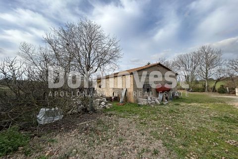 Landejendom i Capalbio, Grosseto, Capalbio - € 250.000 | Ref: V-0027 - foto 2