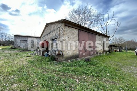 Landejendom i Capalbio, Grosseto, Capalbio - € 250.000 | Ref: V-0027 - foto 3