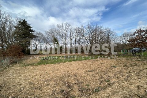 Landejendom i Capalbio, Grosseto, Capalbio - € 250.000 | Ref: V-0027 - foto 7