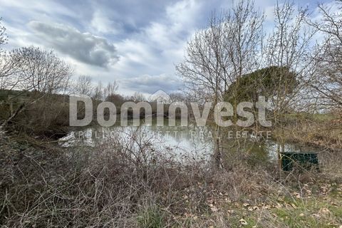 Landejendom i Capalbio, Grosseto, Capalbio - € 250.000 | Ref: V-0027 - foto 8