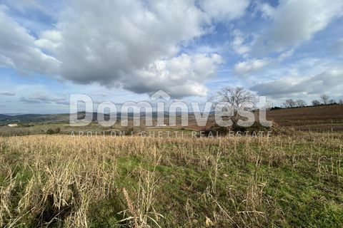 Landejendom i Capalbio, Grosseto, Capalbio - € 250.000 | Ref: V-0027 - foto 9