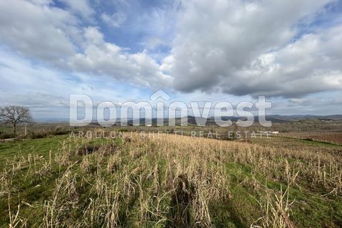 Landejendom i Capalbio, Grosseto, Capalbio - € 250.000 | Ref: V-0027 - foto 10