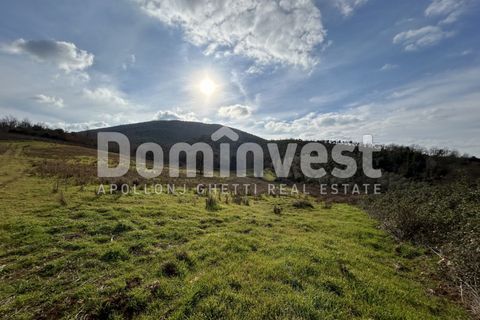 Landejendom i Capalbio, Grosseto, Capalbio - € 250.000 | Ref: V-0027 - foto 13