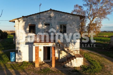 Landejendom i Capalbio, Grosseto, Capalbio - € 349.000 | Ref: V-0035 - foto 2