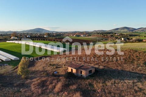 Landejendom i Capalbio, Grosseto, Capalbio - € 349.000 | Ref: V-0035 - foto 15