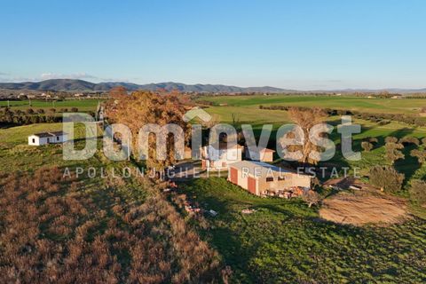 Landejendom i Capalbio, Grosseto, Capalbio - € 349.000 | Ref: V-0035 - foto 16