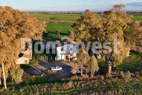 Landejendom i Capalbio, Grosseto, Capalbio - € 349.000 | Ref: V-0035 - foto 17