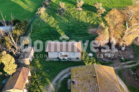 Landejendom i Capalbio, Grosseto, Capalbio - € 349.000 | Ref: V-0035 - foto 18