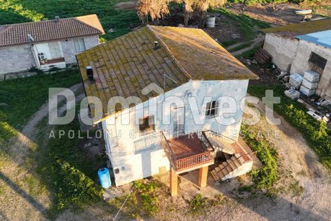 Landejendom i Capalbio, Grosseto, Capalbio - € 349.000 | Ref: V-0035 - foto 19