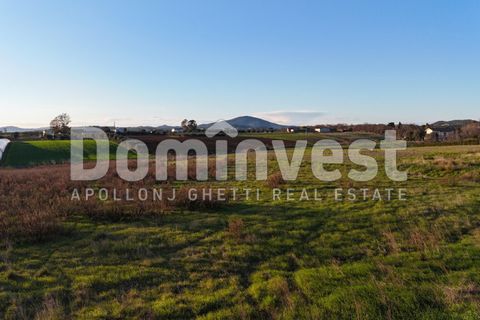 Landejendom i Capalbio, Grosseto, Capalbio - € 349.000 | Ref: V-0035 - foto 3
