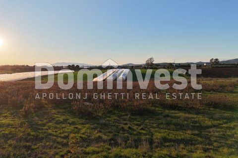 Landejendom i Capalbio, Grosseto, Capalbio - € 349.000 | Ref: V-0035 - foto 4