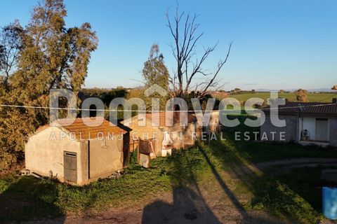 Landejendom i Capalbio, Grosseto, Capalbio - € 349.000 | Ref: V-0035 - foto 5