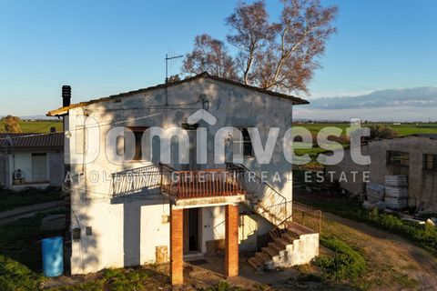 Landejendom i Capalbio, Grosseto, Capalbio - € 349.000 | Ref: V-0035 - foto 6