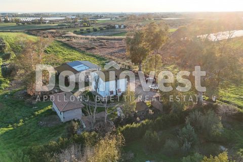 Landejendom i Capalbio, Grosseto, Capalbio - € 349.000 | Ref: V-0035 - foto 8