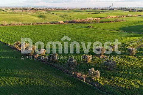 Landejendom i Capalbio, Grosseto, Capalbio - € 349.000 | Ref: V-0035 - foto 9
