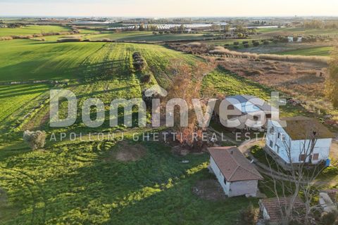 Landejendom i Capalbio, Grosseto, Capalbio - € 349.000 | Ref: V-0035 - foto 10
