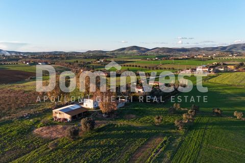 Landejendom i Capalbio, Grosseto, Capalbio - € 349.000 | Ref: V-0035 - foto 12