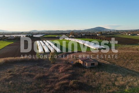 Landejendom i Capalbio, Grosseto, Capalbio - € 349.000 | Ref: V-0035 - foto 13