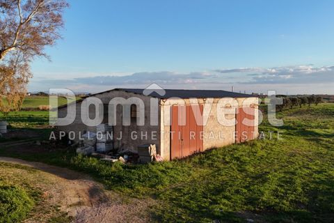 Landejendom i Capalbio, Grosseto, Capalbio - € 349.000 | Ref: V-0035 - foto 14