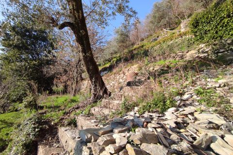 Villa a Rapallo, Genoa, Rapallo - € 220.000 | Ref: A1231 - foto 28