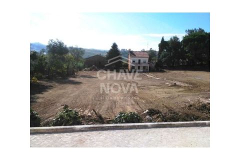 Helårsgrund i Torres Vedras, Lisbon, Torres Vedras - € 570.000 | Ref: LX/01904 - foto 4
