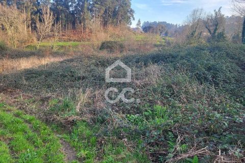 Helårsgrund i Fafe, Braga, Fafe - € 25.000 | Ref: 336/T/01654 - foto 2