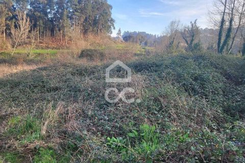 Helårsgrund i Fafe, Braga, Fafe - € 25.000 | Ref: 336/T/01654 - foto 10
