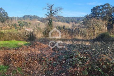 Helårsgrund i Fafe, Braga, Fafe - € 25.000 | Ref: 336/T/01654 - foto 11