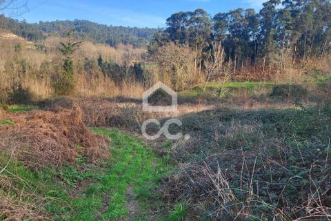Helårsgrund i Fafe, Braga, Fafe - € 25.000 | Ref: 336/T/01654 - foto 12