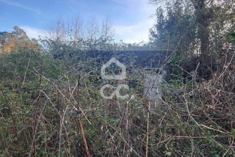 Helårsgrund i Fafe, Braga, Fafe - € 25.000 | Ref: 336/T/01654 - foto 18