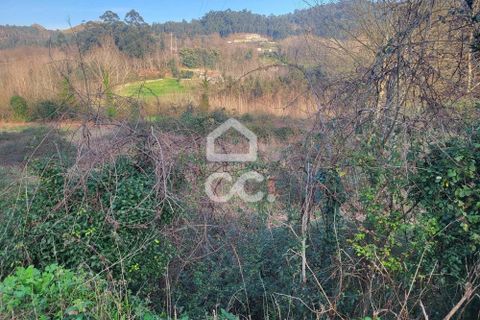 Helårsgrund i Fafe, Braga, Fafe - € 25.000 | Ref: 336/T/01654 - foto 19